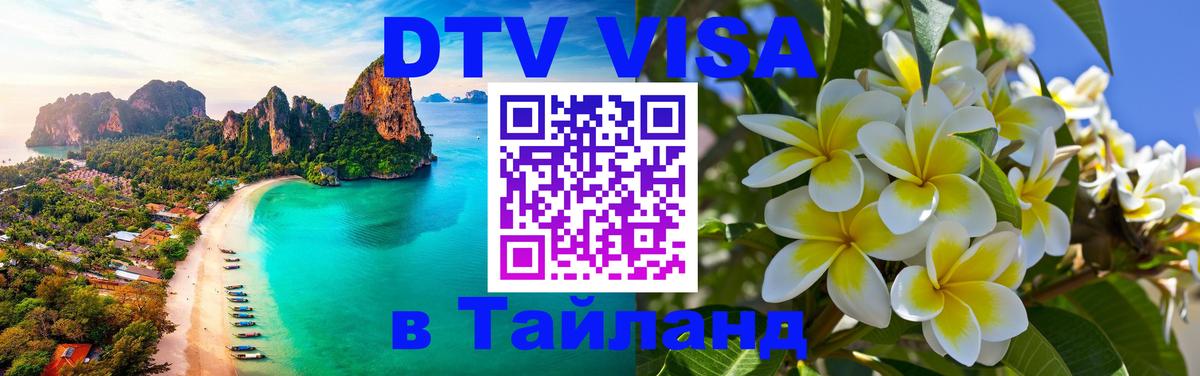 Сколько стоит DTV виза — актуальные цены, оформление даже без документов - Мытищи  07.01.2026 